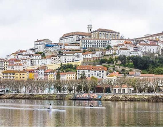 pgd coimbra noticias 8