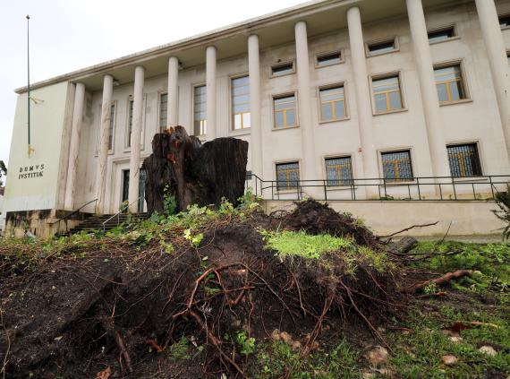 Visita à comarca de Leiria – edifícios afetados pela tempestade “Kristin”